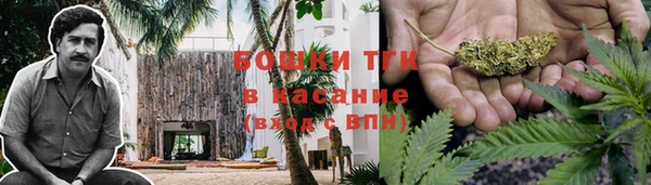 гидропоника Абаза