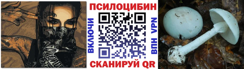 Галлюциногенные грибы мицелий  наркошоп  Приволжск 